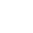 White flower vector