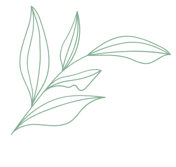 Green leaves vector